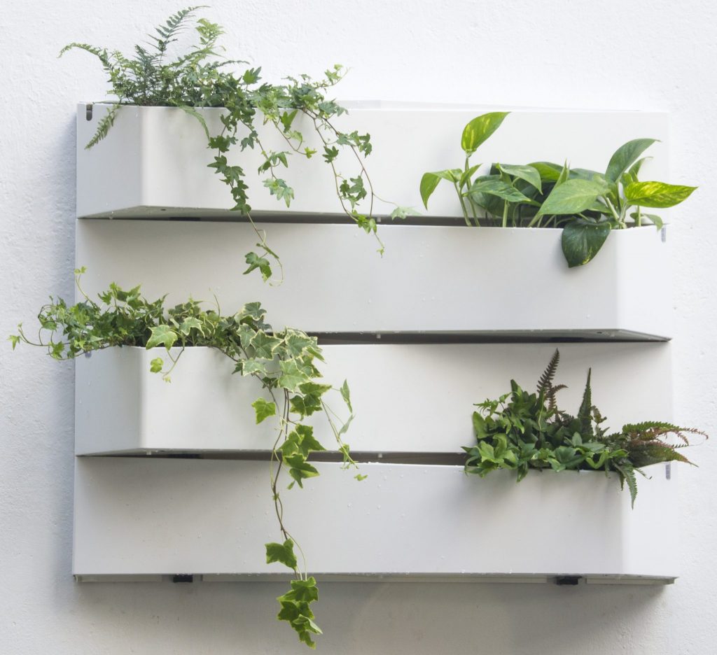 jardines verticales de diseño con plantas verdes