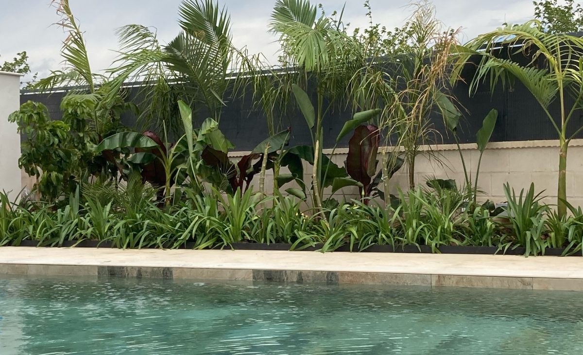 jardín balinés piscina