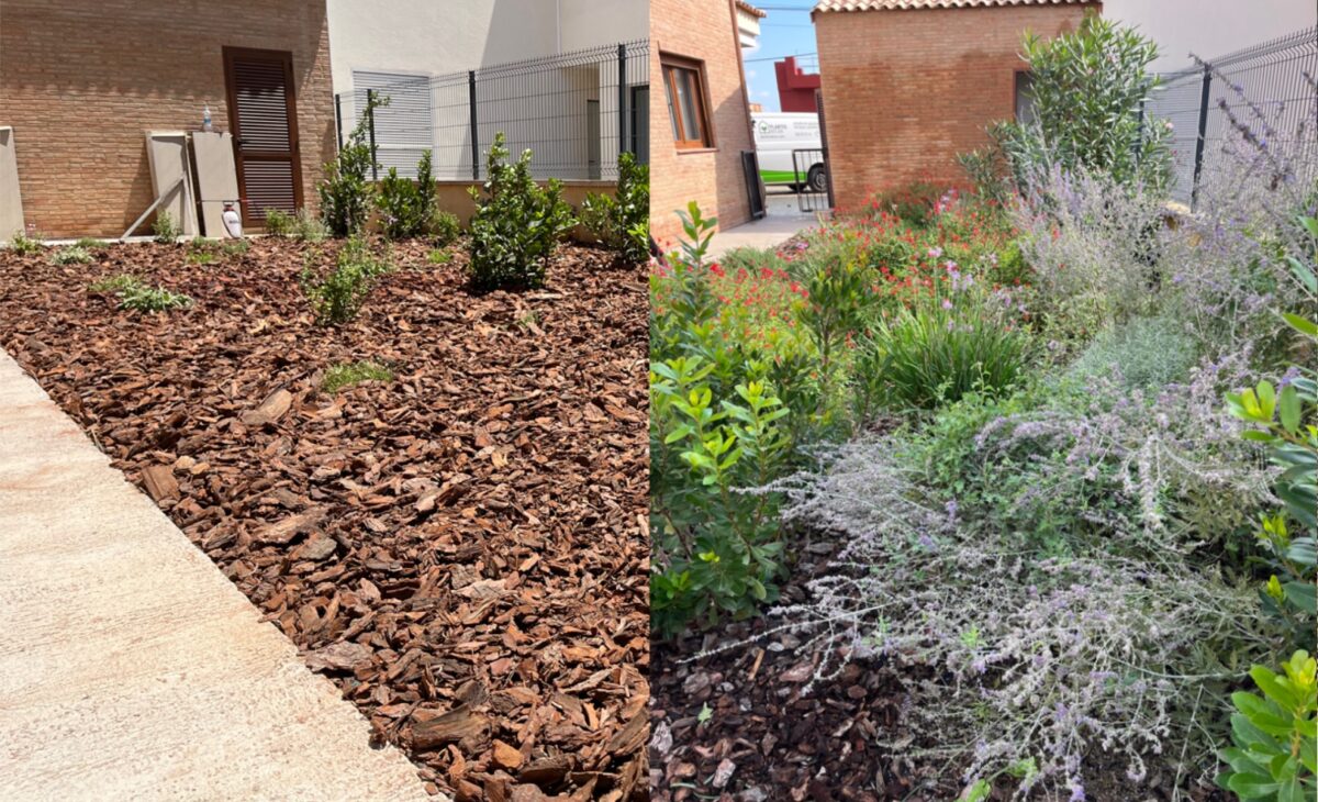 antes y después de un jardín