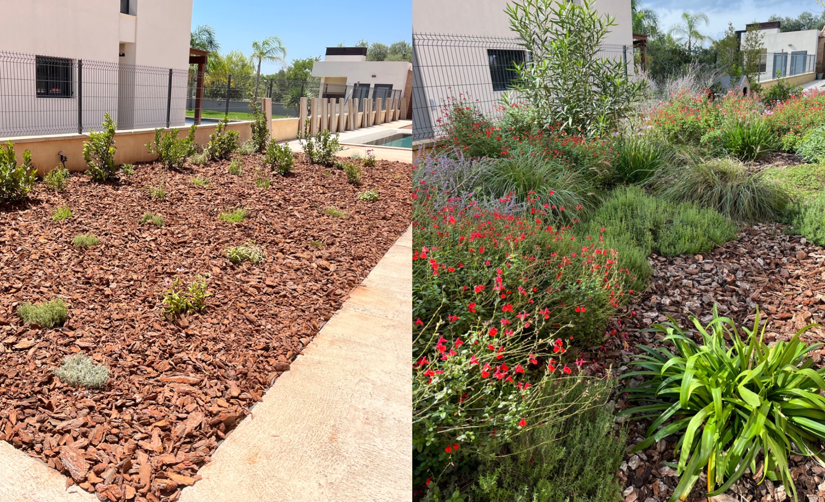 jardín con plantas mediterraneas